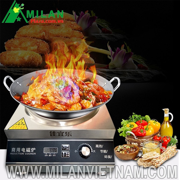 Milanvietnam.com địa chỉ bán bếp điện từ công nghiệp giá rẻ uy tín